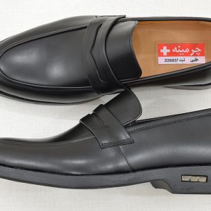 کفش مجلسی