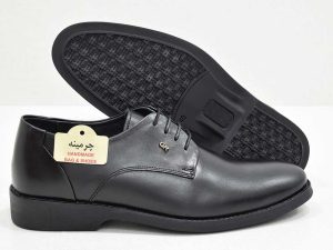 کفش مجلسی -image-shoes