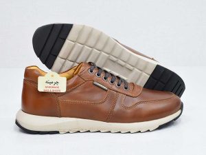 کفش مردانه -image-shoes