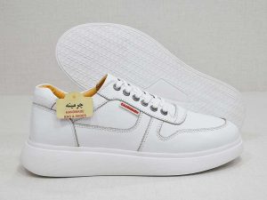 کفش اسپرت مردانه-image-shoes