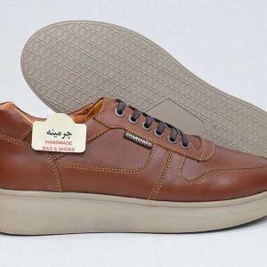 کفش اسپرت مردانه-image-shoes