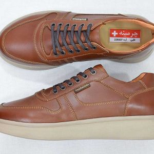 کفش مردانه-image-shoes
