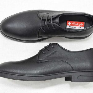 کفش چرم -image-shoes