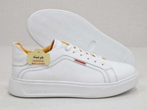 کفش اسپرت مردانه-image-shoes