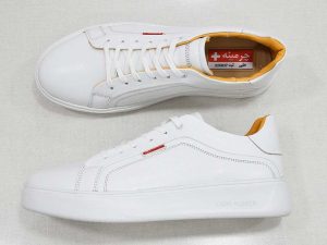 کفش اسپرت مردانه-image-shoes
