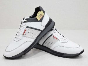 کفش چرمی مردانه-image-shoes