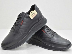 کفش مردانه -image-shoes