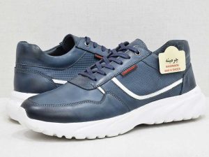 کفش طبی مردانه -image-shoes