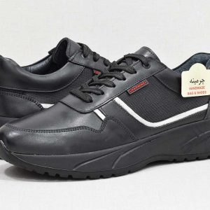 کفش طبی مردانه -image-shoes