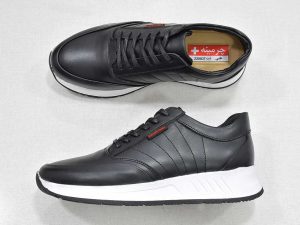 کفش مردانه -image-shoes