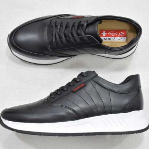کفش مردانه -image-shoes