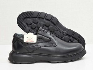 کفش مردانه-image-shoes