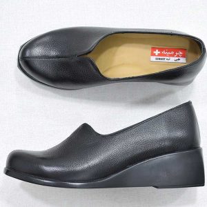 کفش مجلسی سبک زنانه-image-shoes